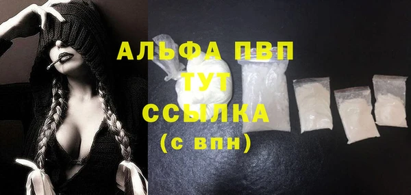 прущие крисы Новозыбков