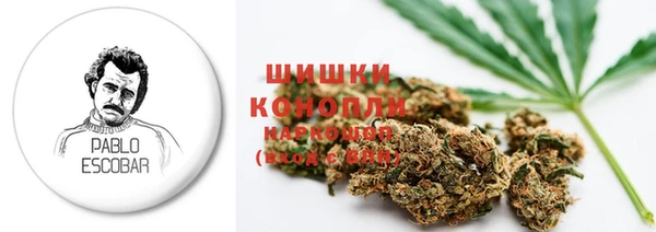 прущие крисы Новозыбков