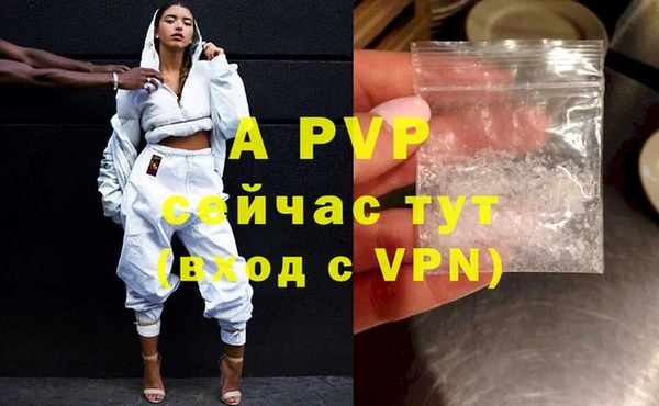 прущие крисы Новозыбков