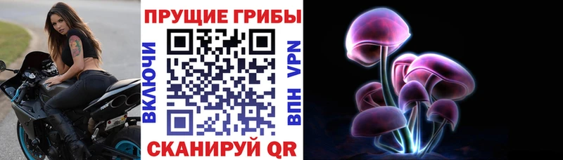 Псилоцибиновые грибы MAGIC MUSHROOMS  Туринск 