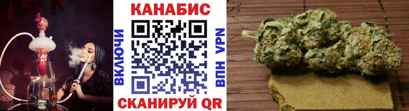 Конопля Amnesia  сколько стоит  нарко площадка состав  Туринск 